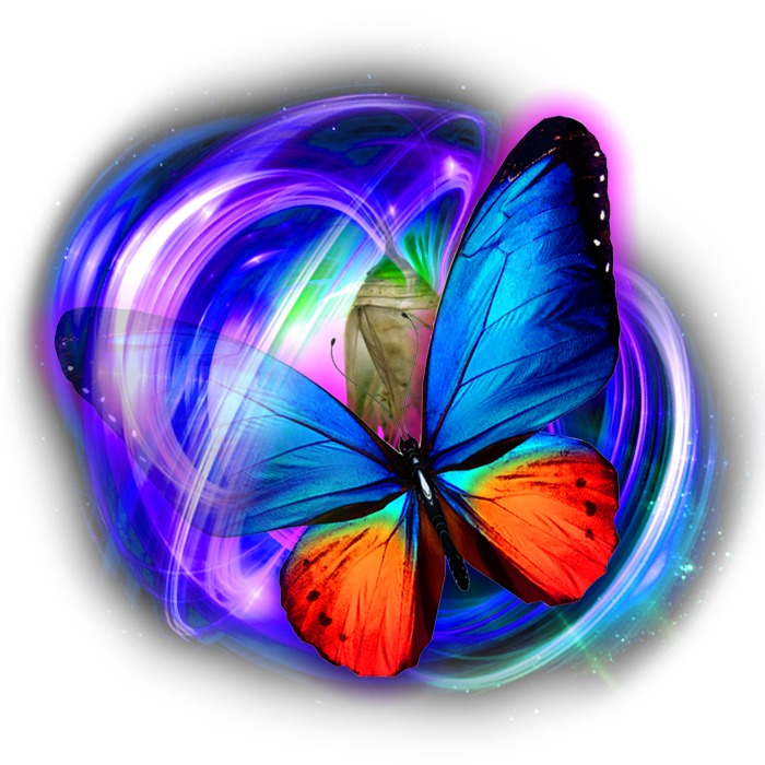 FB-AttitudeVsAltitude-Butterfly